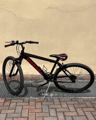 Bici ragazzo - MTB marca HOGAN