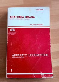 Anatomia Umana