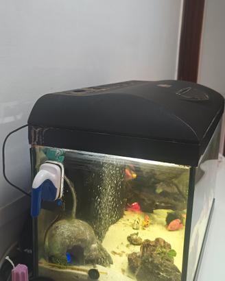 acquario 60lt