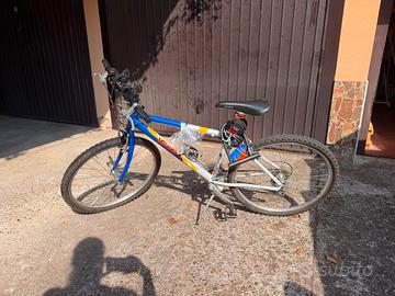 Bici mountain bike