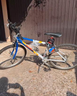 Bici mountain bike