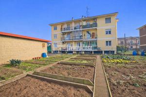 Spazio, luce e verde: il trilocale che accoglie!!!