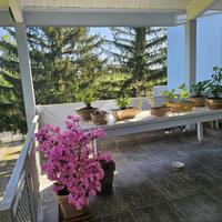 VILLA SINGOLA A MONLEALE