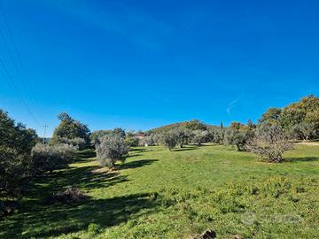 Terreno 6 Ettari con 2 Annessi Agricoli, Bosco e G