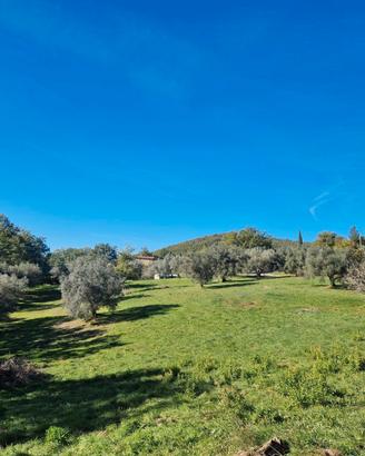 Terreno 6 Ettari con 2 Annessi Agricoli, Bosco e G