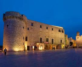 Attività ristorativa centro storico