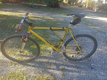 Bicicletta mountain bike