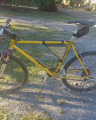 Bicicletta mountain bike