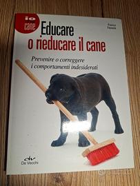 Educare il cane
