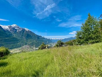 Terreno boschivo con rudere/baita