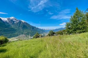 Terreno boschivo con rudere/baita