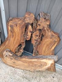 tavole di ulivo