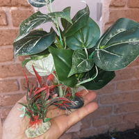 Piante in plastica per acquario