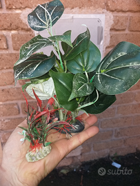 Piante in plastica per acquario