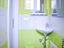 Immagine 16