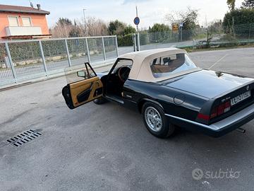 Auto spider duetto