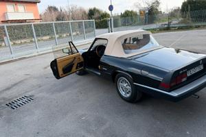 Auto spider duetto