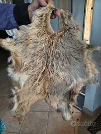 pelliccette (al grezzo) solo in stock