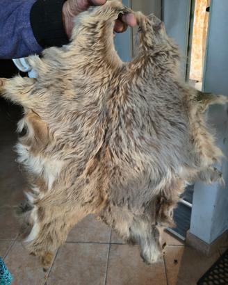 pelliccette (al grezzo) solo in stock