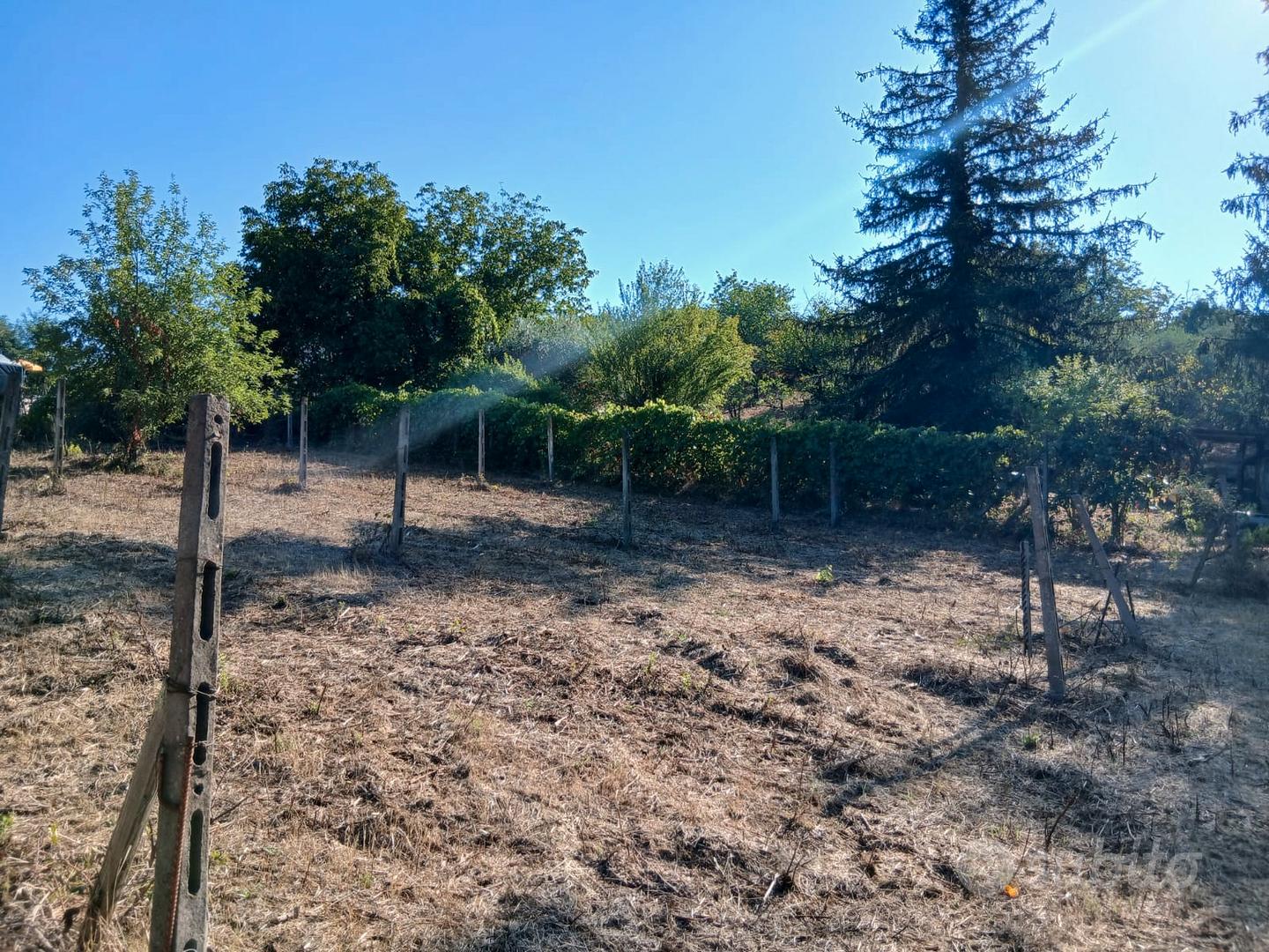 Terreno Agricolo 3000mq Arci - Vista 4