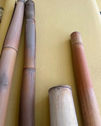 5 canne bambu da 1m a 2,5m