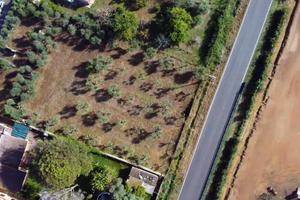 Terreno agricolo 2000mq con 50 ulivi