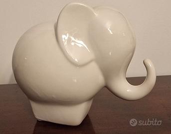 elefante Andrea Fontebasso 