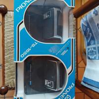 Pioneer TS 1650