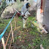 pulizia terreni con decespugliatore