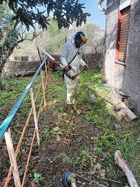 pulizia terreni con decespugliatore
