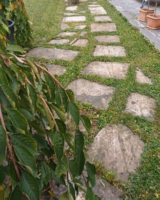 Pietre naturali