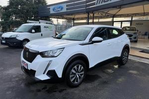 Peugeot 2008 2008 1.5 bluehdi Active s&s 110cv