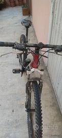 Mountain bike