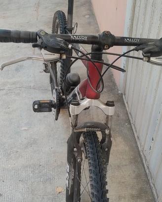 Mountain bike