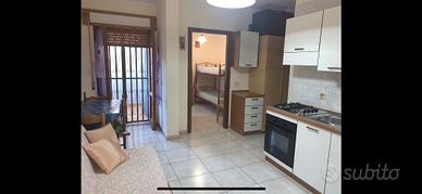 Calabria Diamante appartamento mesi estivi