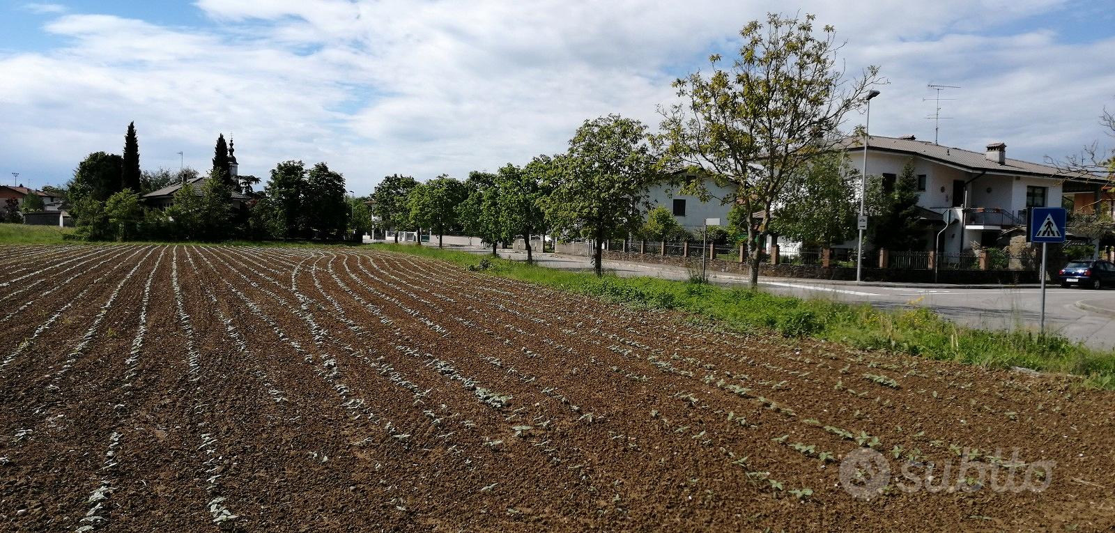 Terreni edificabili + agricoli con accesso diretto - Vista 2