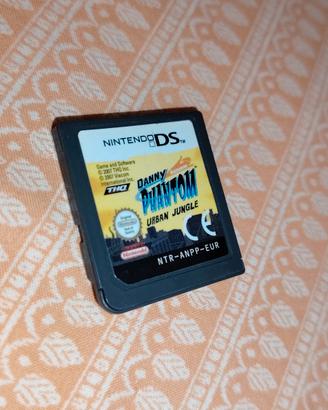 gioco Nintendo DS