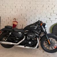 883 iron nero opaco 2013