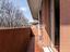 Immagine 11