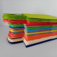 18 buste con manico vari colori formato 16x21