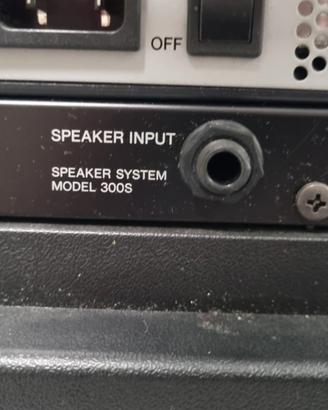 Cassa acustica Yamaha Model 300s con amplificatore