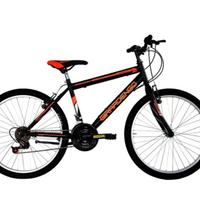 bicicletta ragazzo MTB