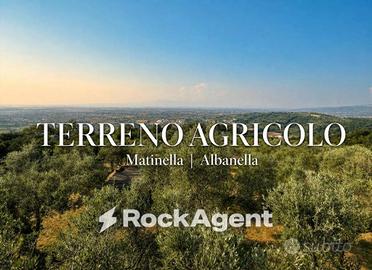 Terreno di 15000 m² a Albanella