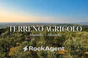 Terreno di 15000 m² a Albanella