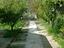 Immagine 6