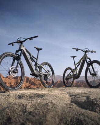 AMFLOW 2027 PR CARBON PRO