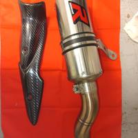 Terminale omologato Z900 my 2020-2024 Dominator