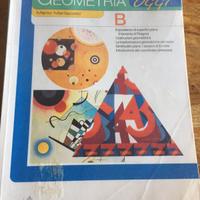Libro scuole medie Geometria Oggi B