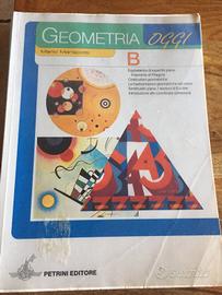 Libro scuole medie Geometria Oggi B