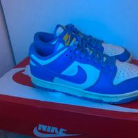 Nike dunk low coast